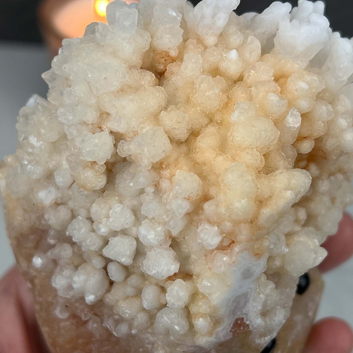 Large Creamy White Calcite Stalactite Pet Rock