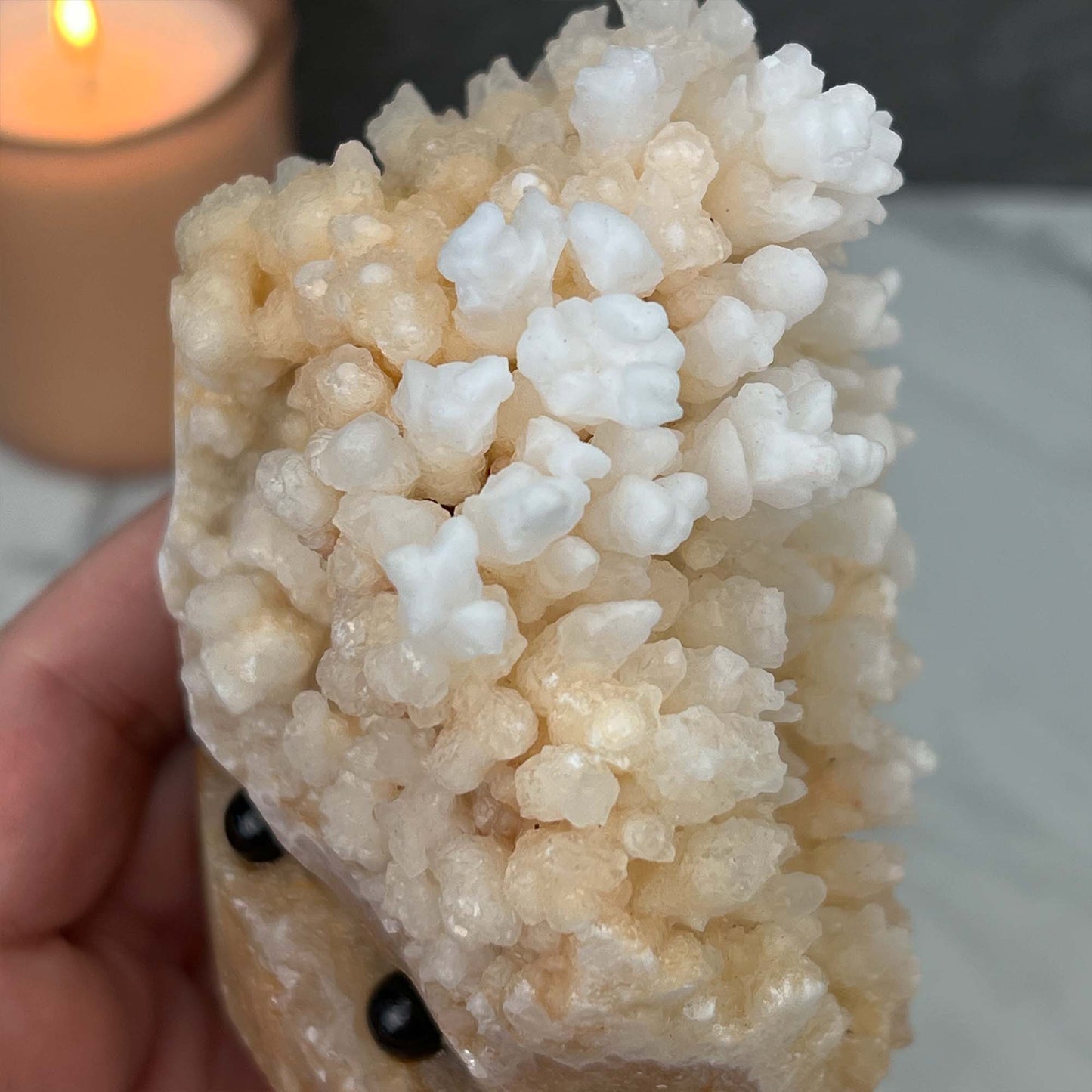 Large Creamy White Calcite Stalactite Pet Rock