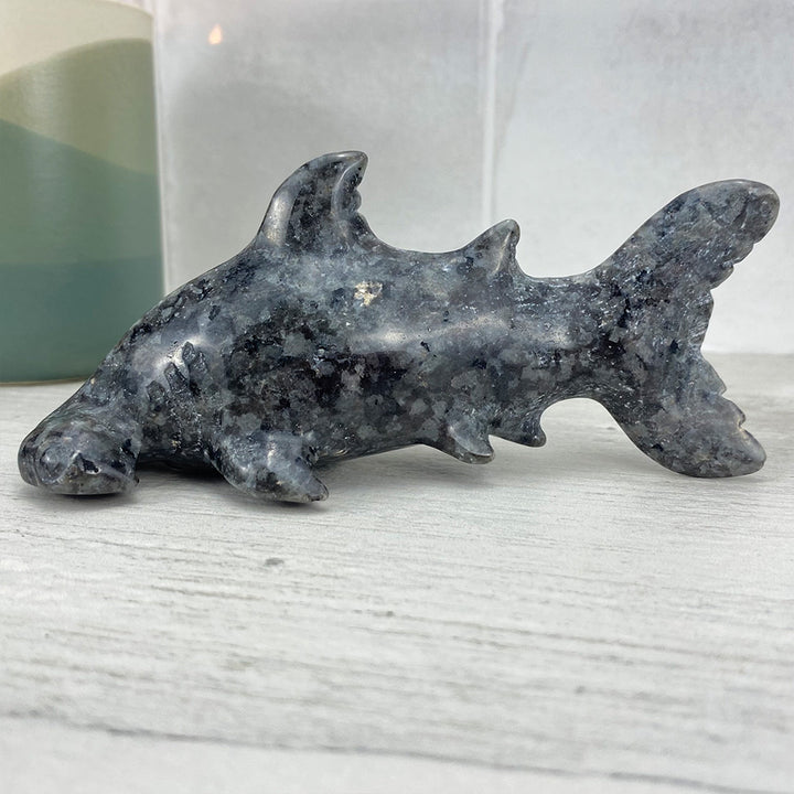 Polished (Firestone) Hammerhead Shark