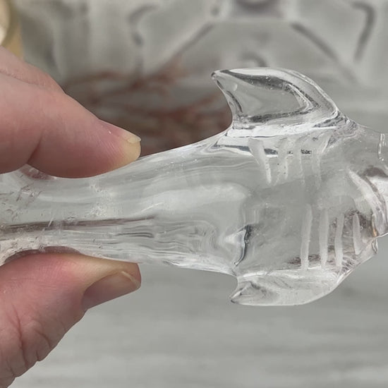 Polished Clear Quartz Great White Shark Carving