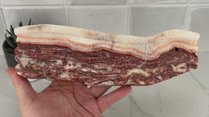 Polished Pork Stone (Red Banded Calcite) Specimen Slab