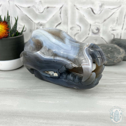Banded Blue and White Agate Fanged Skull Carving