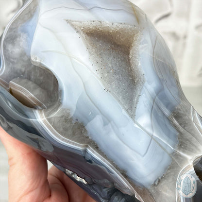 Banded Blue and White Agate Fanged Skull Carving