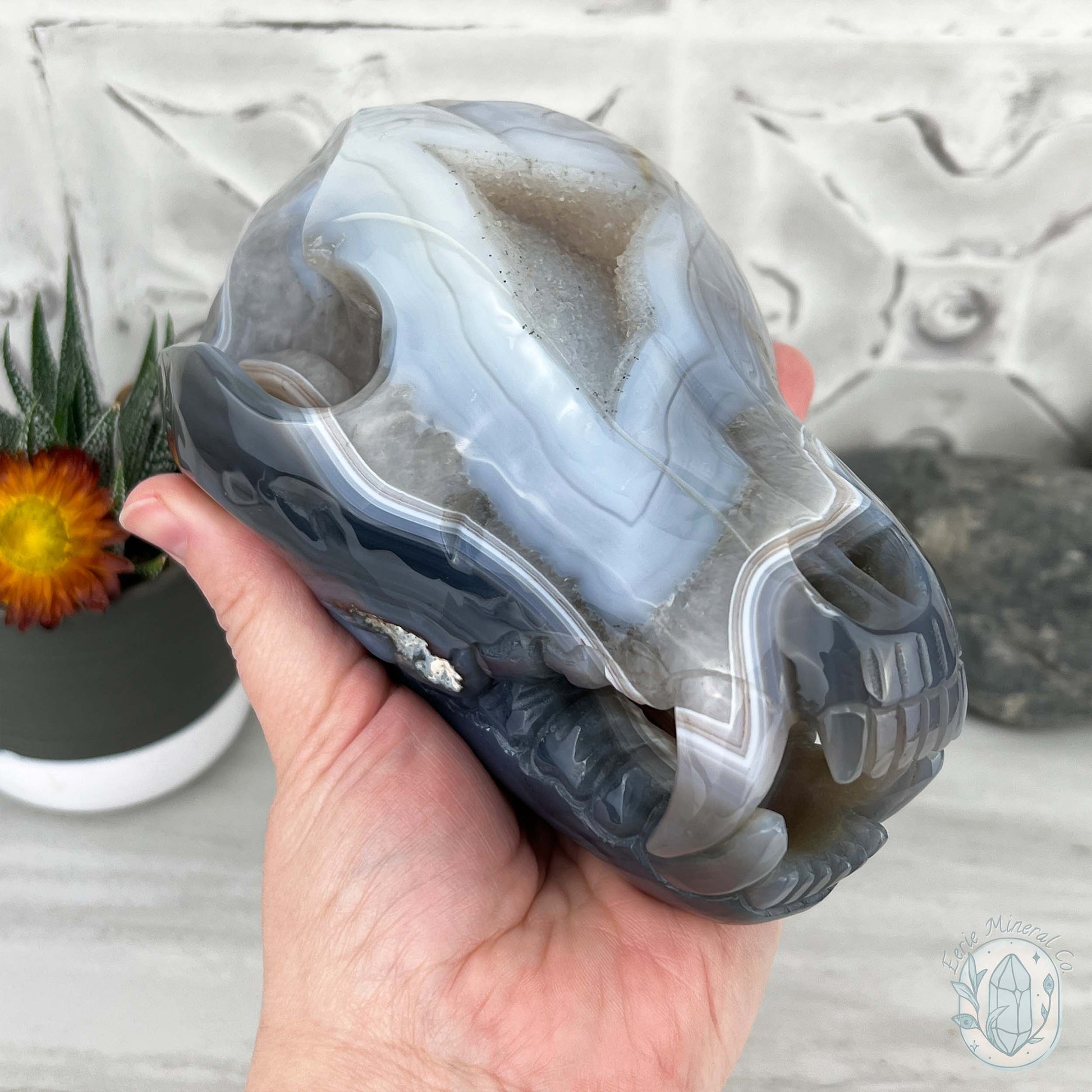 Banded Blue and White Agate Fanged Skull Carving