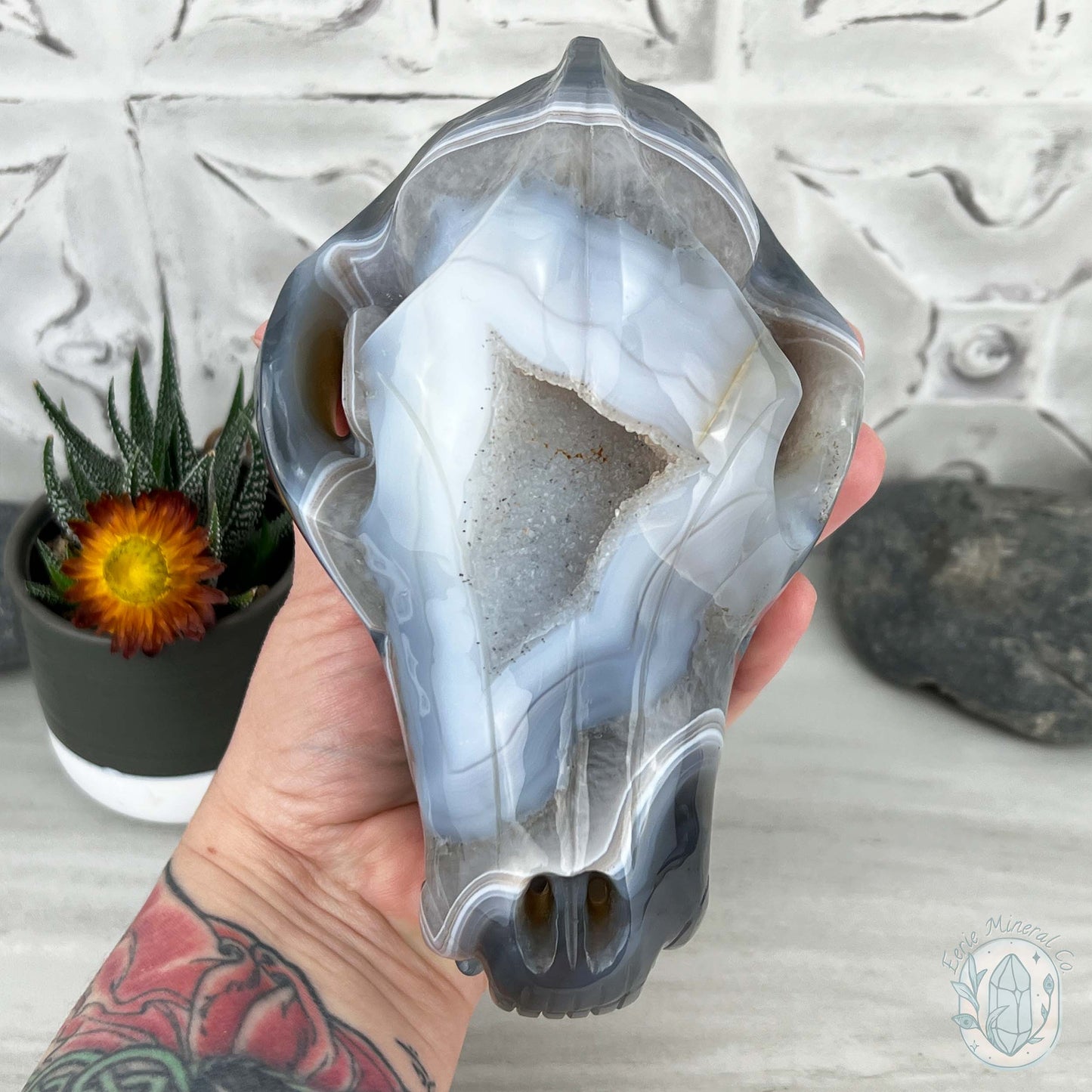Banded Blue and White Agate Fanged Skull Carving