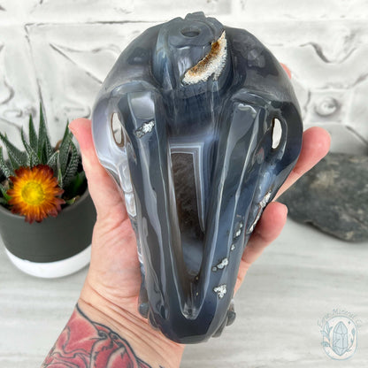 Banded Blue and White Agate Fanged Skull Carving