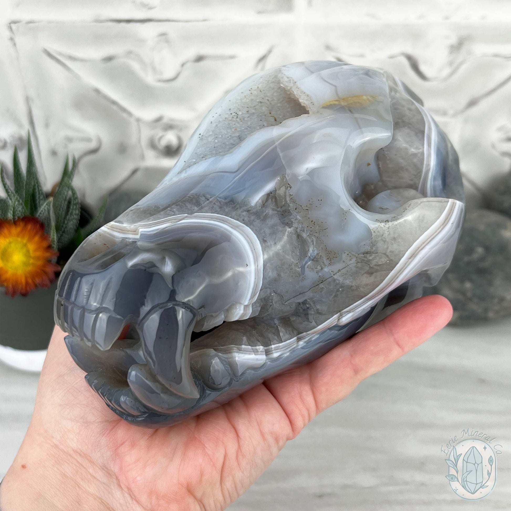 Banded Blue and White Agate Fanged Skull Carving