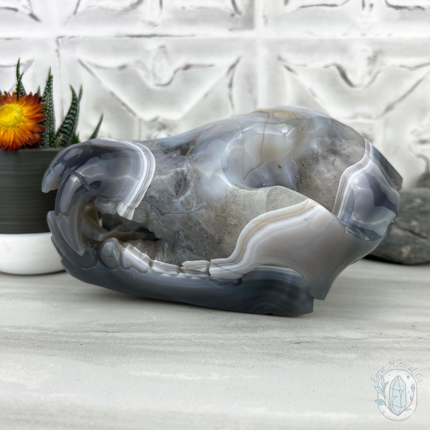 Banded Blue and White Agate Fanged Skull Carving