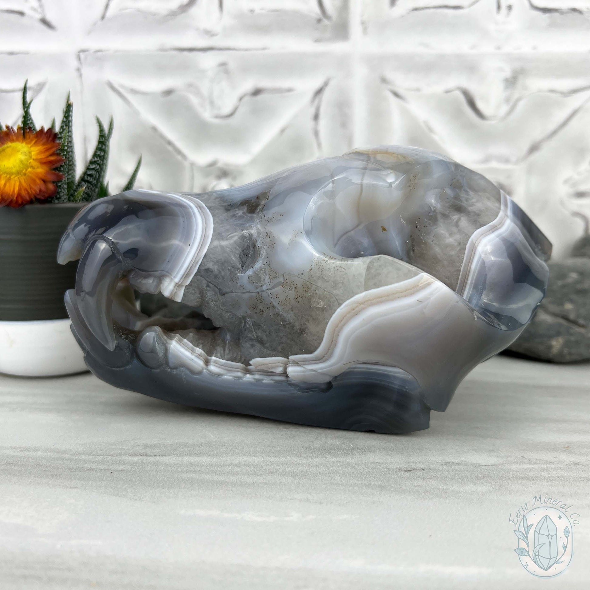 Banded Blue and White Agate Fanged Skull Carving