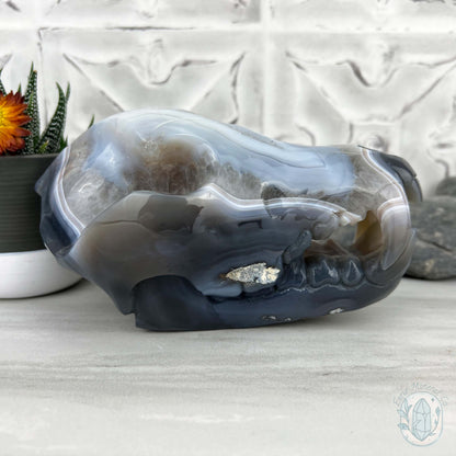 Banded Blue and White Agate Fanged Skull Carving