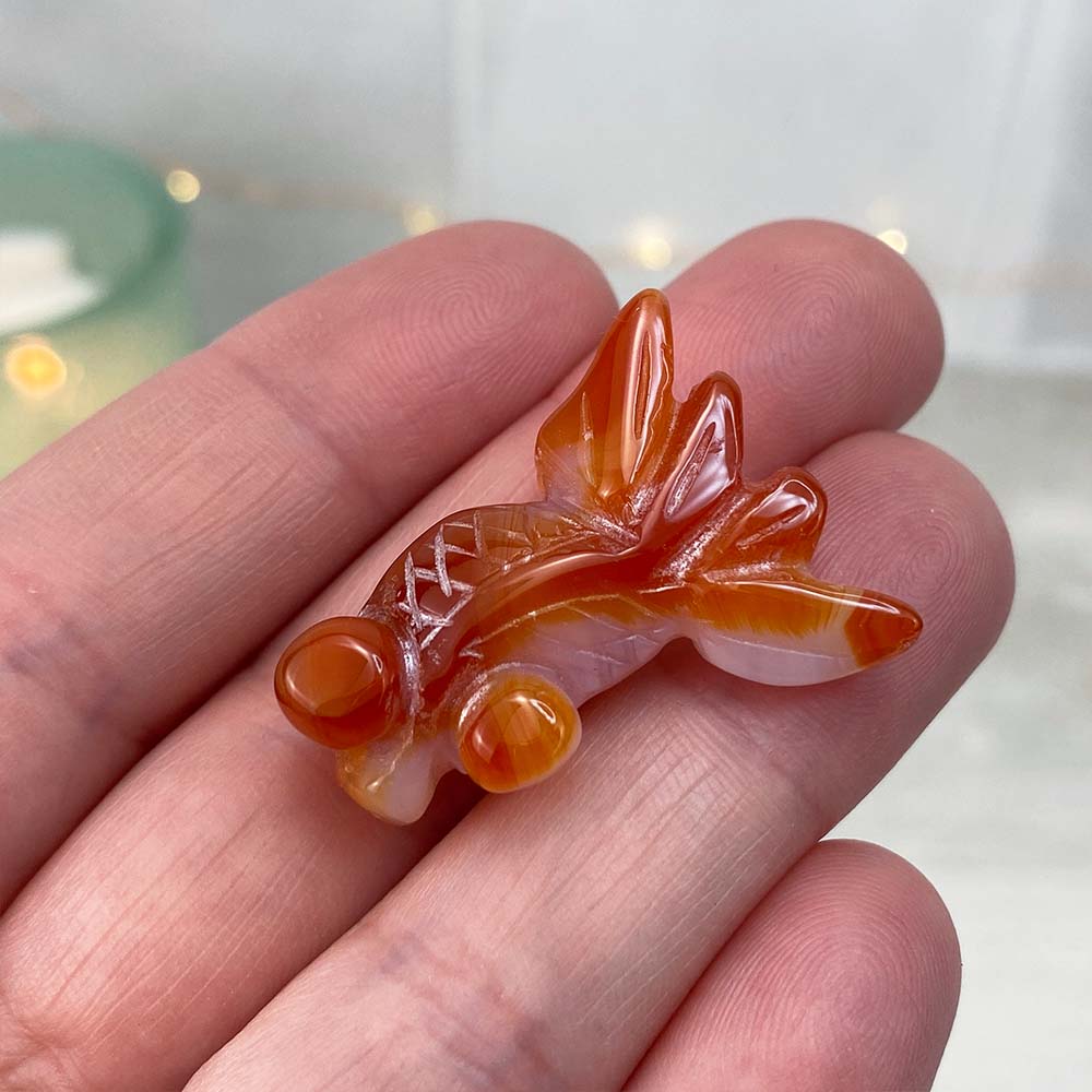 Polished Bubble Eye Agate Goldfish Carvings