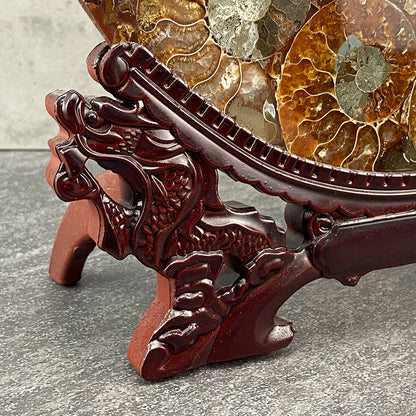 fossilized ammonites plate