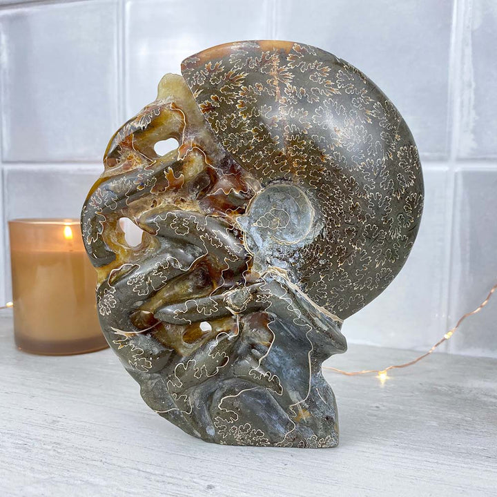 Large Polished Ammonite (Cleoniceras) Fossil Carving