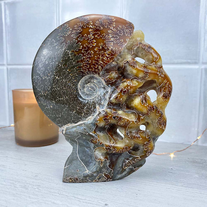 Large Polished Ammonite (Cleoniceras) Fossil Carving