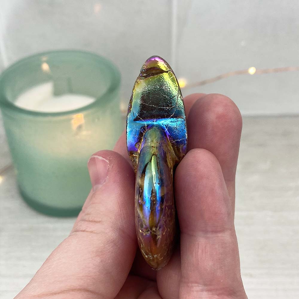 Polished Aura Ammonite (Cleoniceras) Fossil