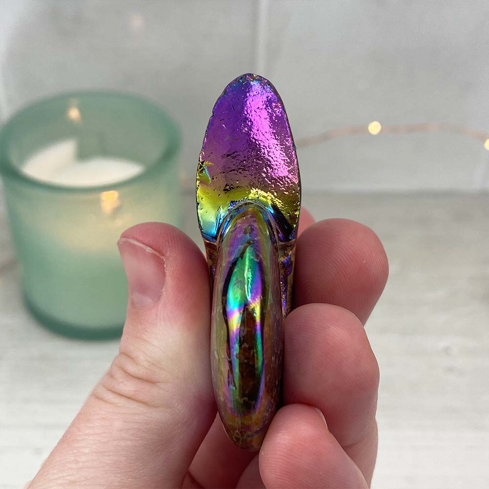Polished Aura Ammonite (Cleoniceras) Fossil