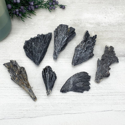 Natural Black Kyanite Blades\Fans