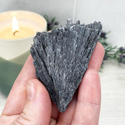 Natural Black Kyanite Blades\Fans