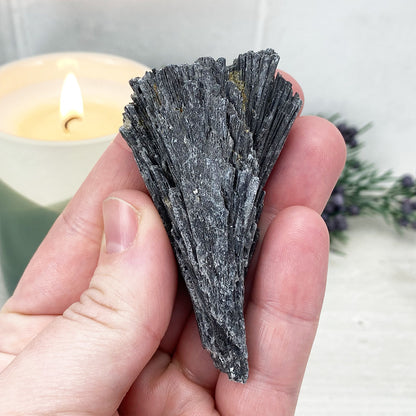 Natural Black Kyanite Blades\Fans