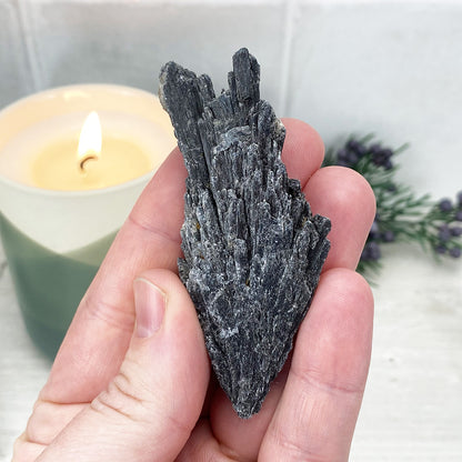 Natural Black Kyanite Blades\Fans