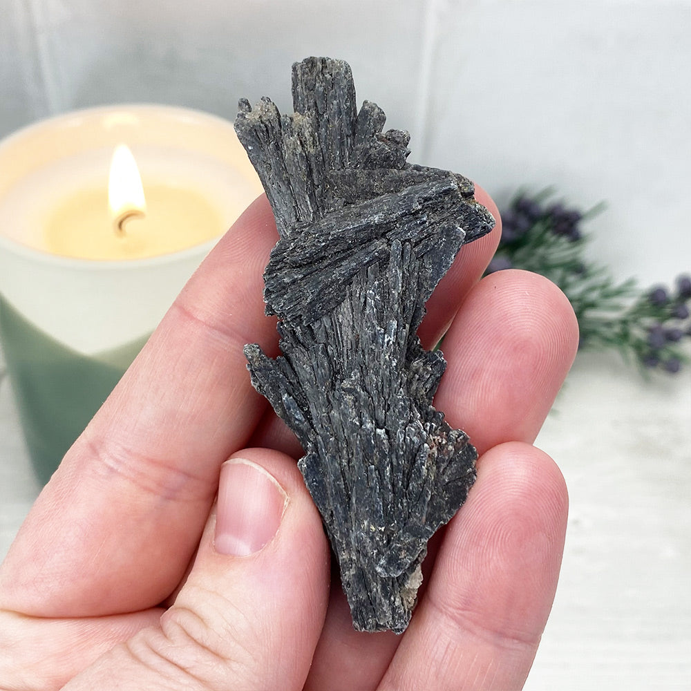 Natural Black Kyanite Blades\Fans