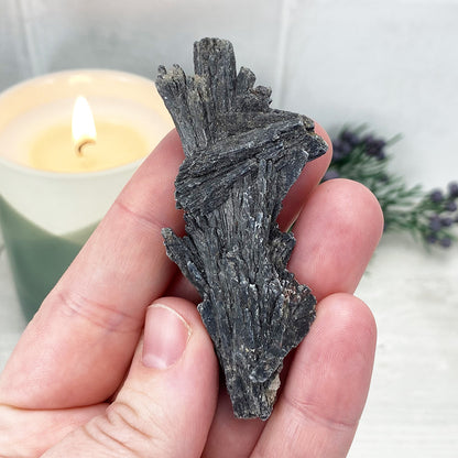 Natural Black Kyanite Blades\Fans