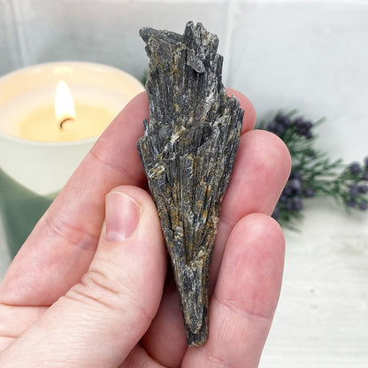 Natural Black Kyanite Blades\Fans