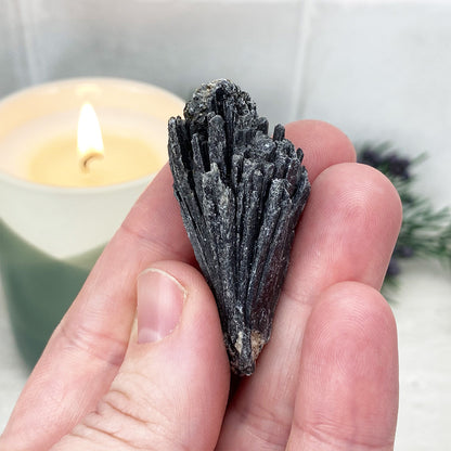 Natural Black Kyanite Blades\Fans