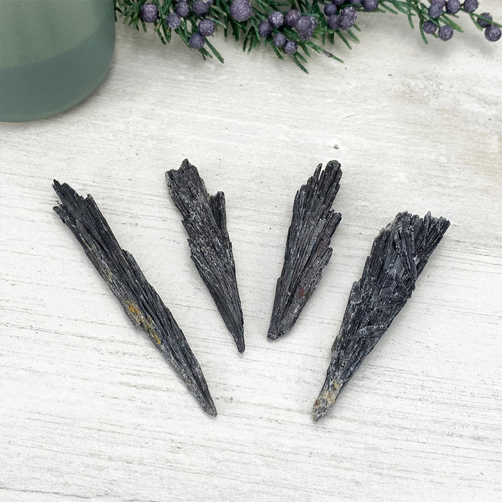 Natural Black Kyanite Blades\Fans