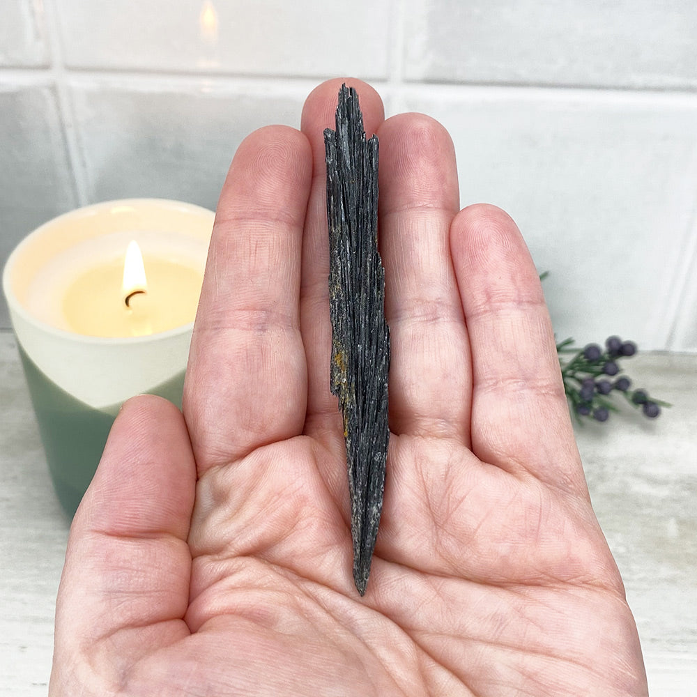Natural Black Kyanite Blades\Fans