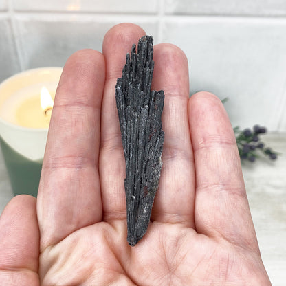 Natural Black Kyanite Blades\Fans
