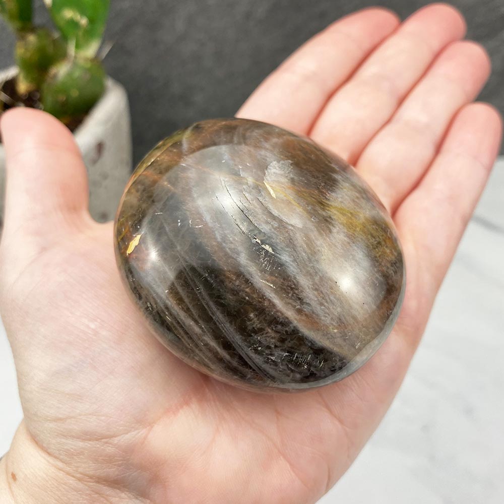 Polished Black Moonstone Palm Stones
