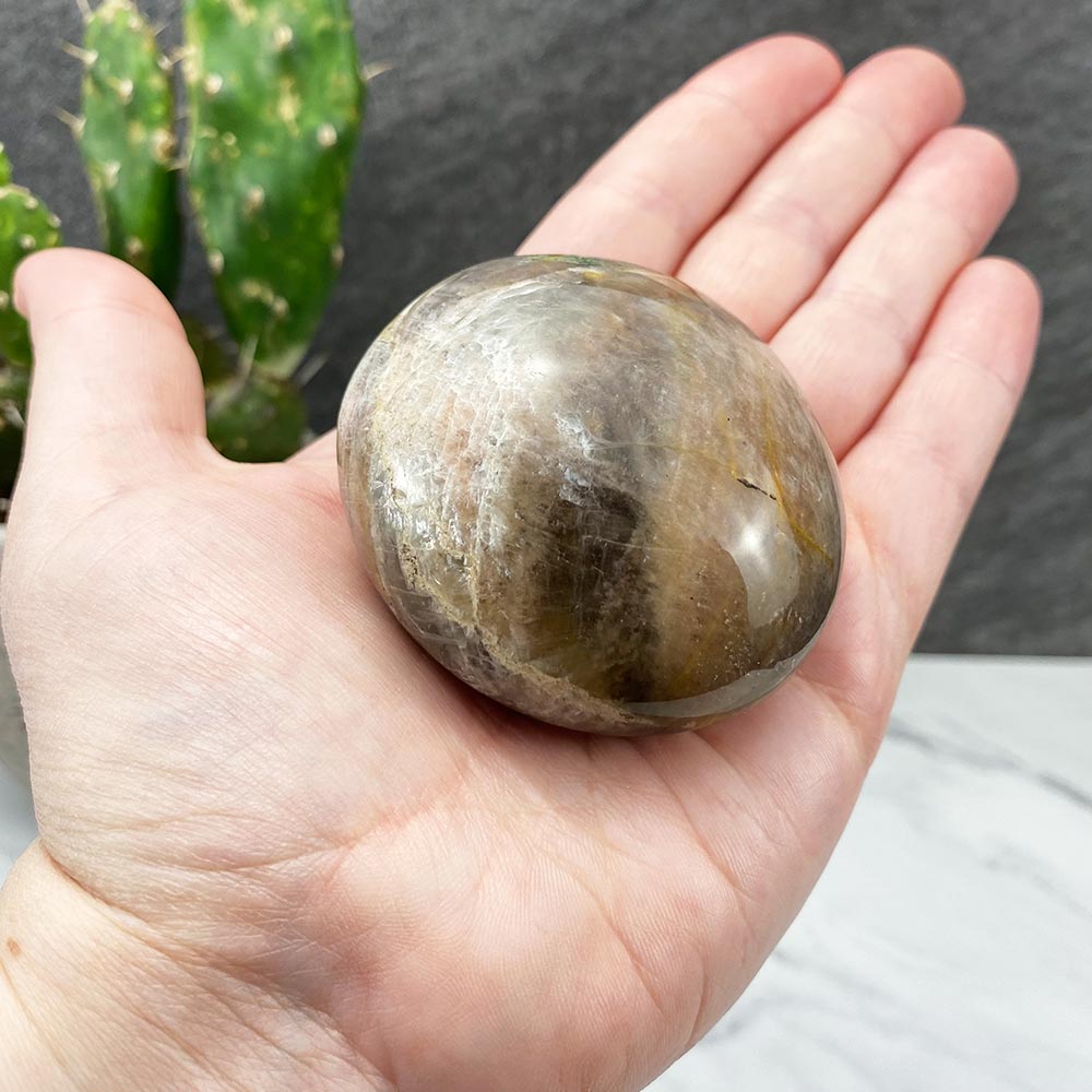 Polished Black Moonstone Palm Stones