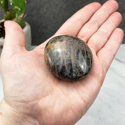 Polished Black Moonstone Palm Stones