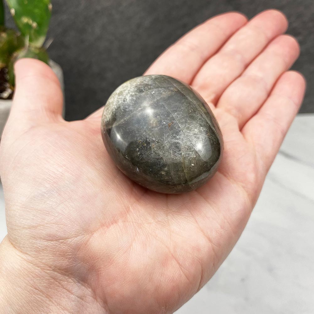 Polished Black Moonstone Palm Stones