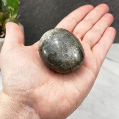 Polished Black Moonstone Palm Stones