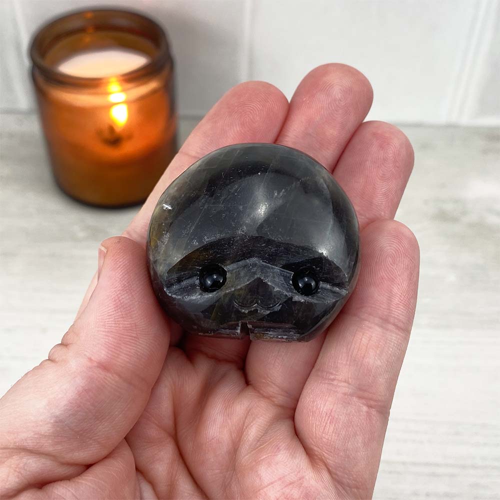 Polished Black Moonstone Hedgehog Carving