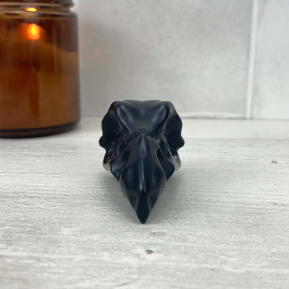 Black Obsidian Raven Skull Carving