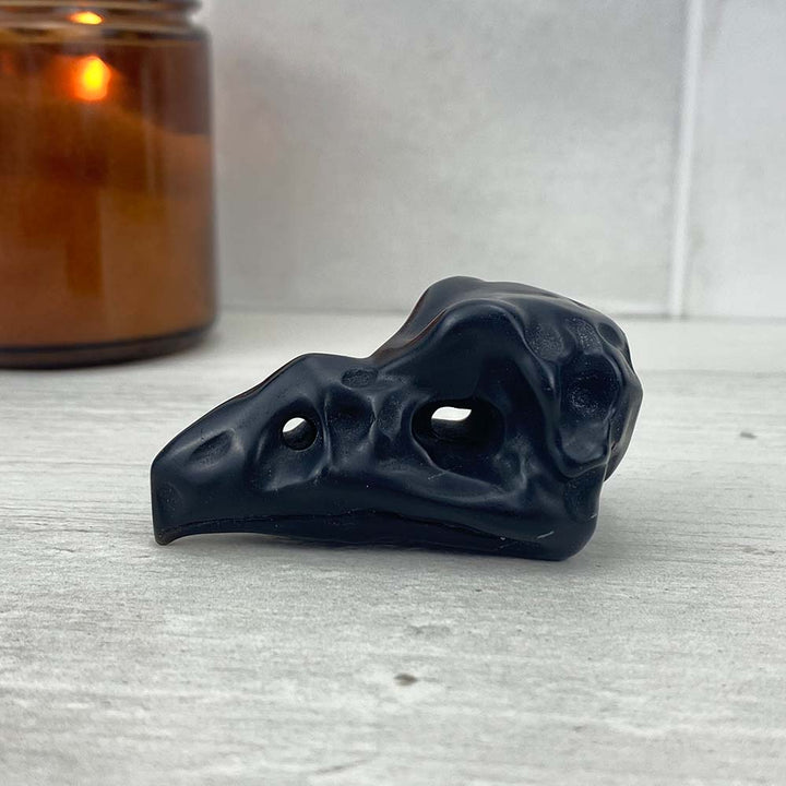 Black Obsidian Raven Skull Carving