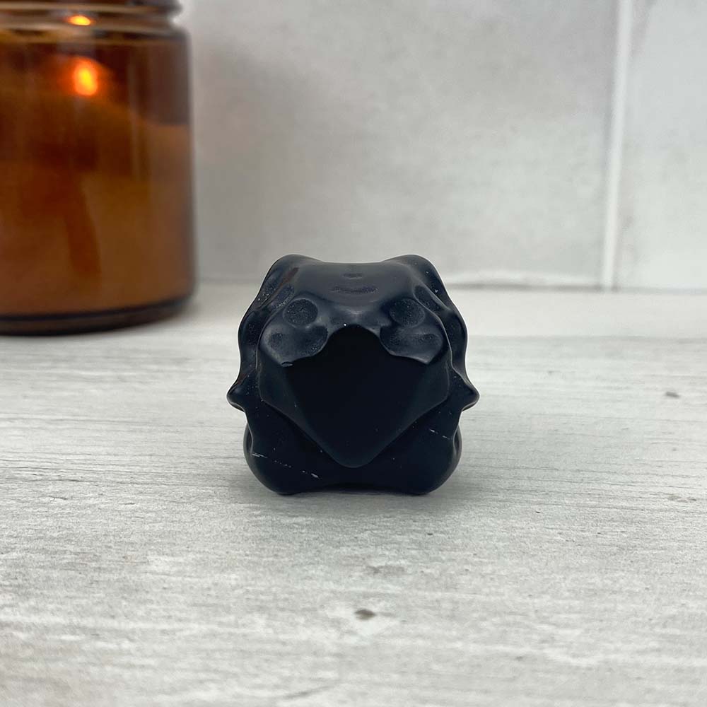 Black Obsidian Raven Skull Carving