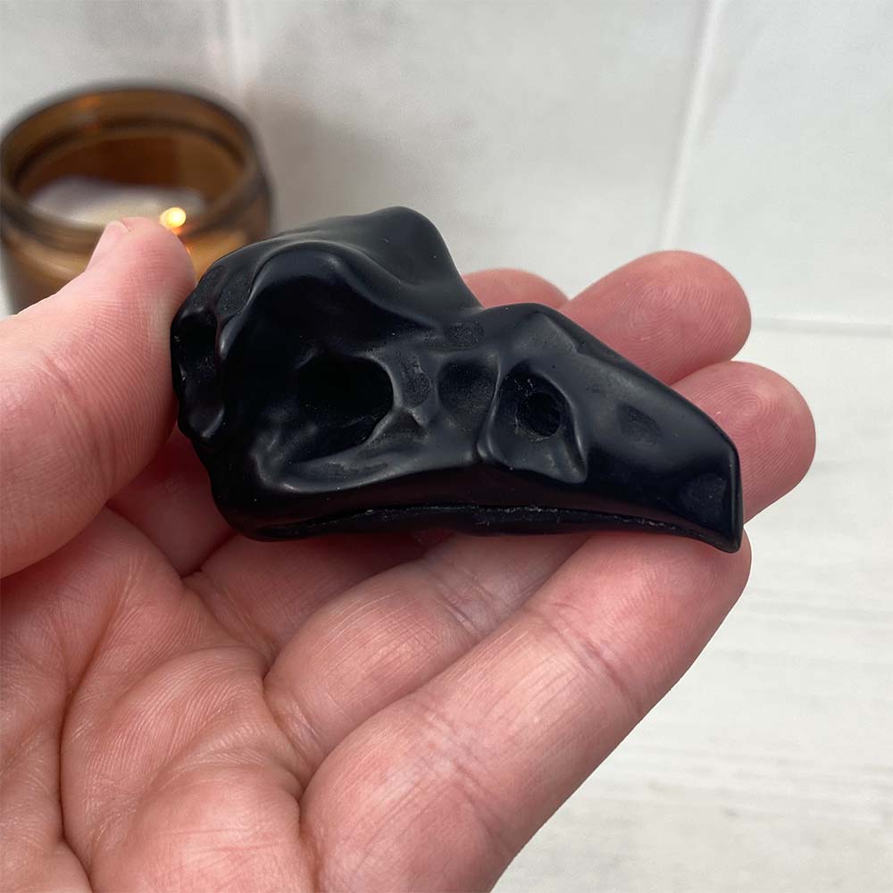 Black Obsidian Raven Skull Carving