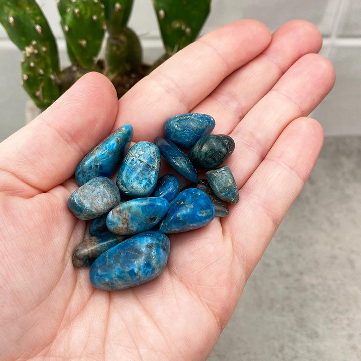 Small Blue Apatite Tumbled Stones