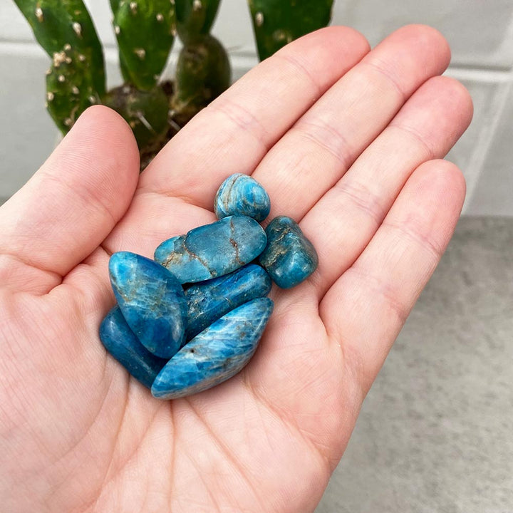 Small Blue Apatite Tumbled Stones