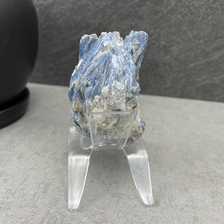 Natural Blue Kyanite Specimen