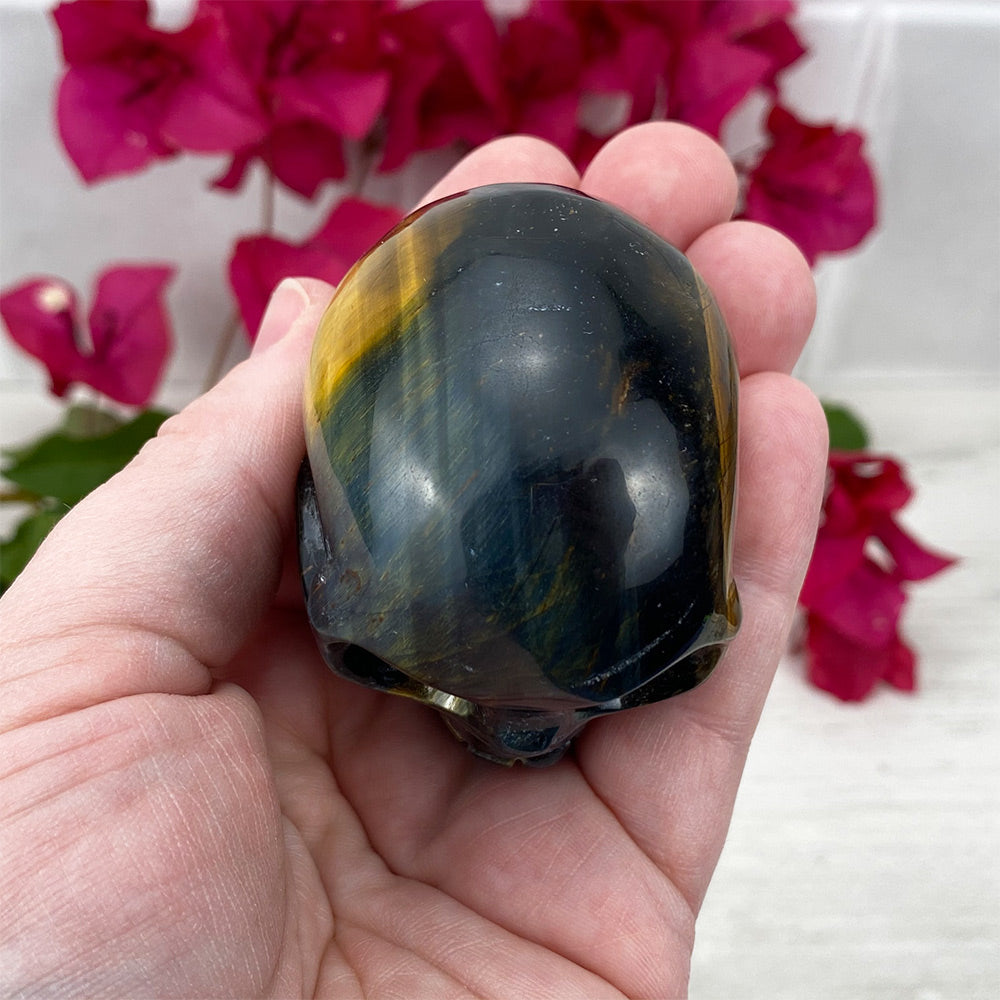 Polished Blue Tiger Eye Skull Carving