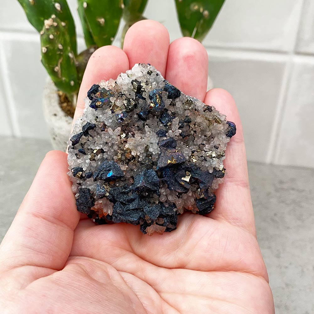 Chalcopyrite and Quartz Natural Specimen