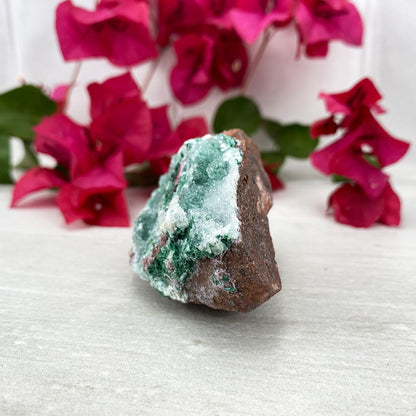 Crystallized Chrysocolla With Colbato Calcite