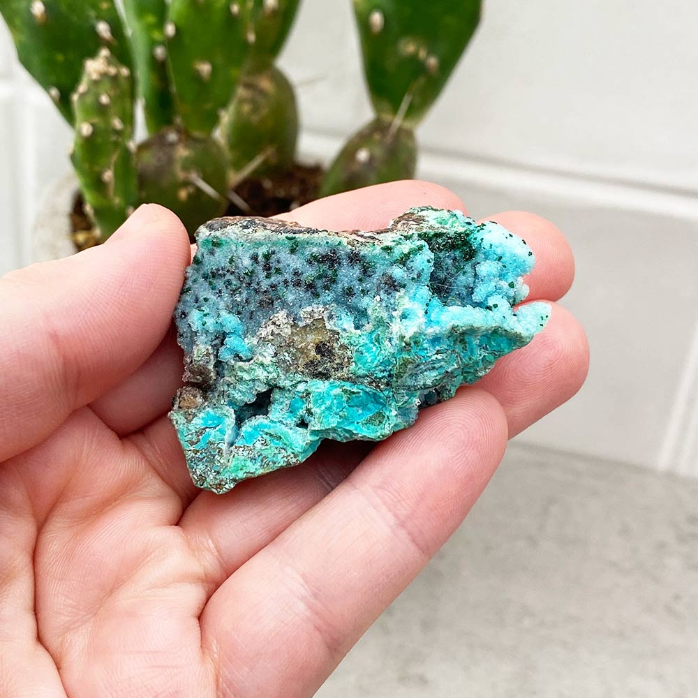 Natural chrysocolla Specimen