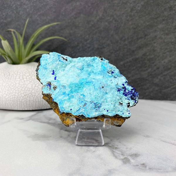 Chrysocolla With Azurite Specimen