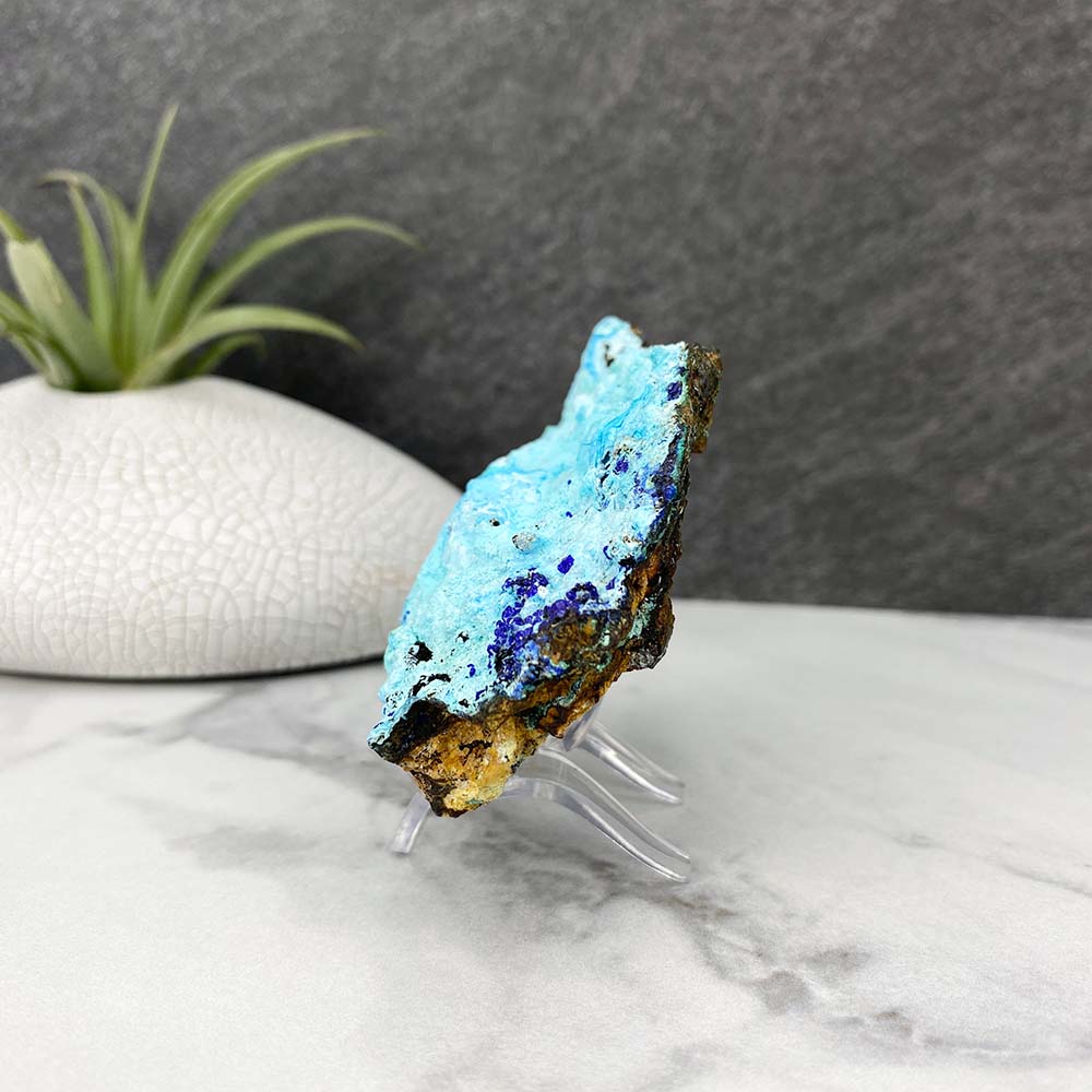 Chrysocolla With Azurite Specimen